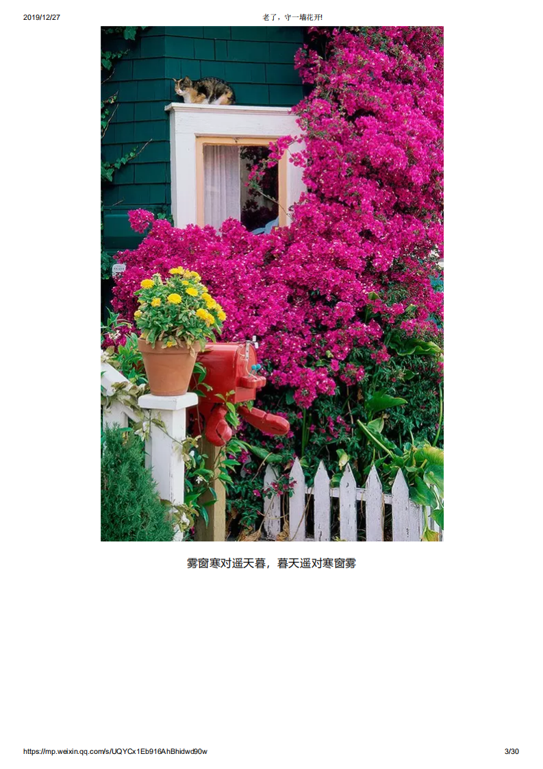 老了，守一墙花开!_02.png