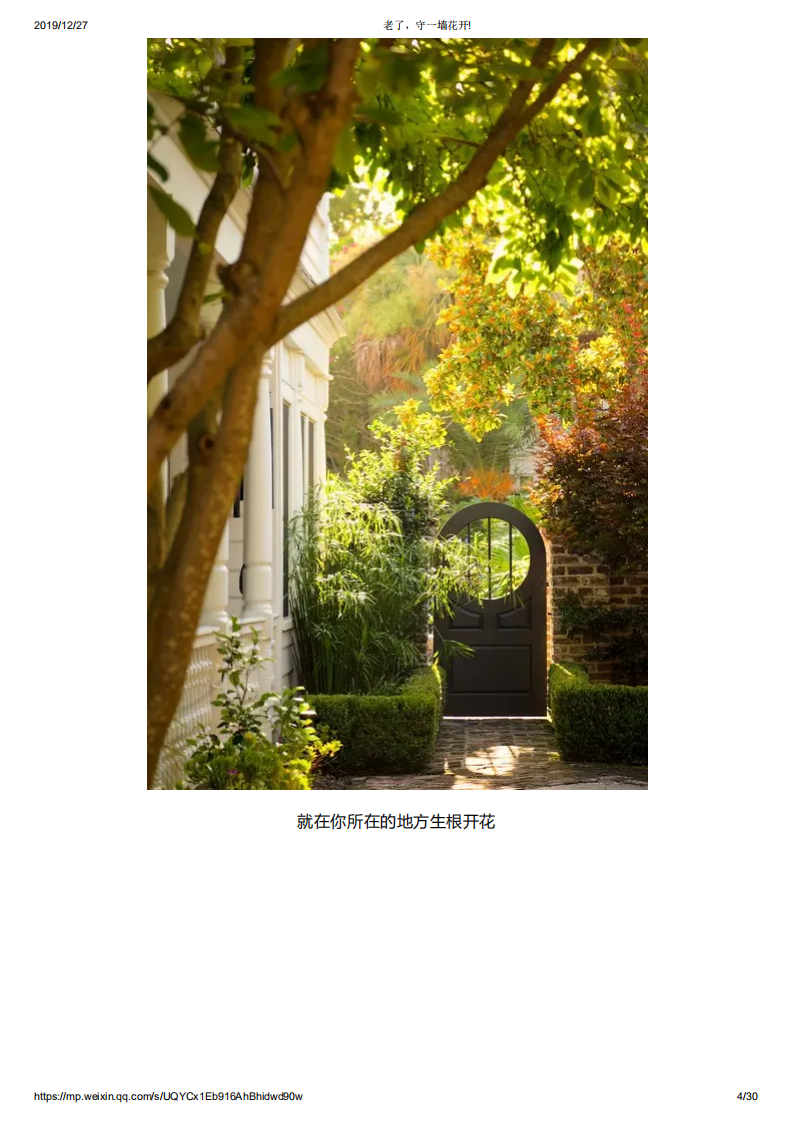 老了，守一墙花开!_03.png