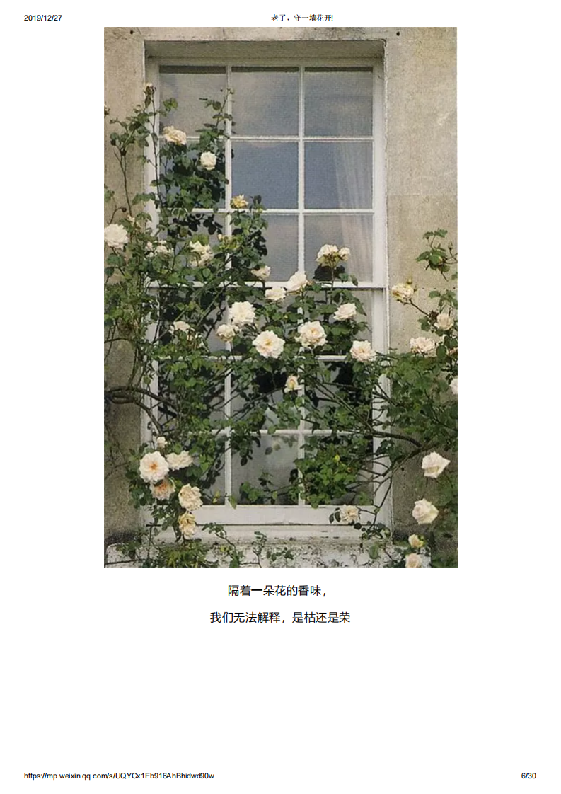 老了，守一墙花开!_05.png