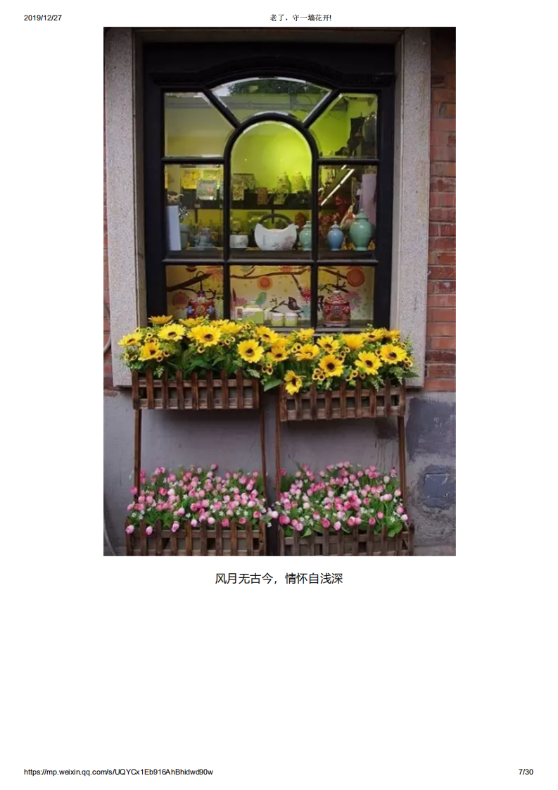 老了，守一墙花开!_06.png