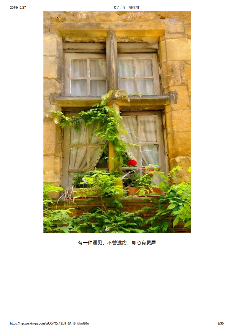 老了，守一墙花开!_07.png