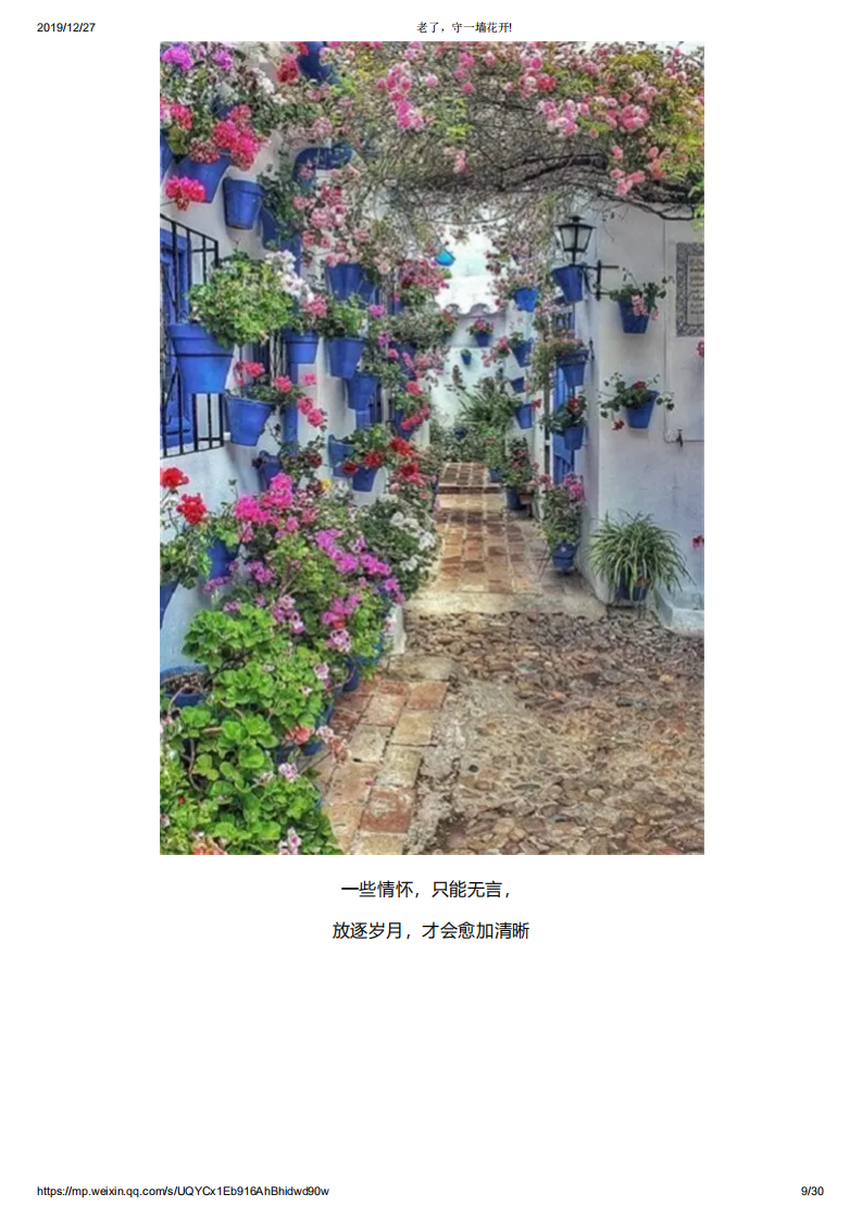 老了，守一墙花开!_08.png