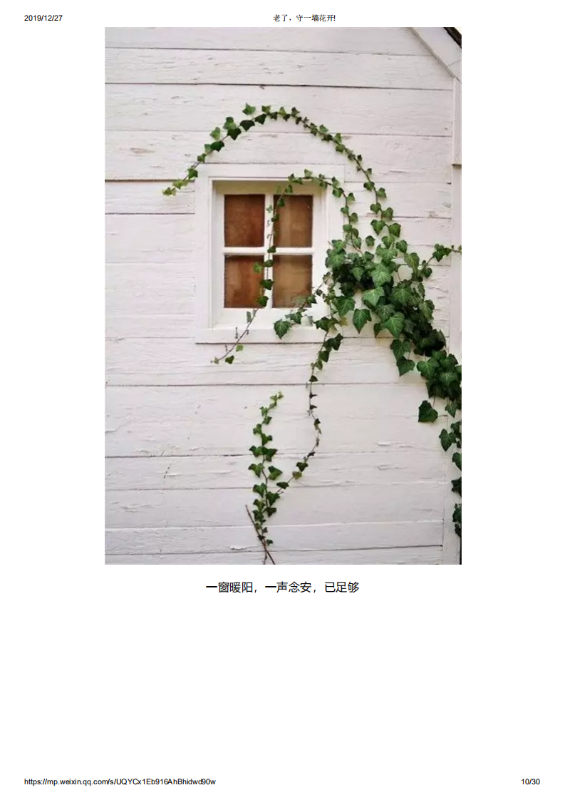 老了，守一墙花开!_09.png