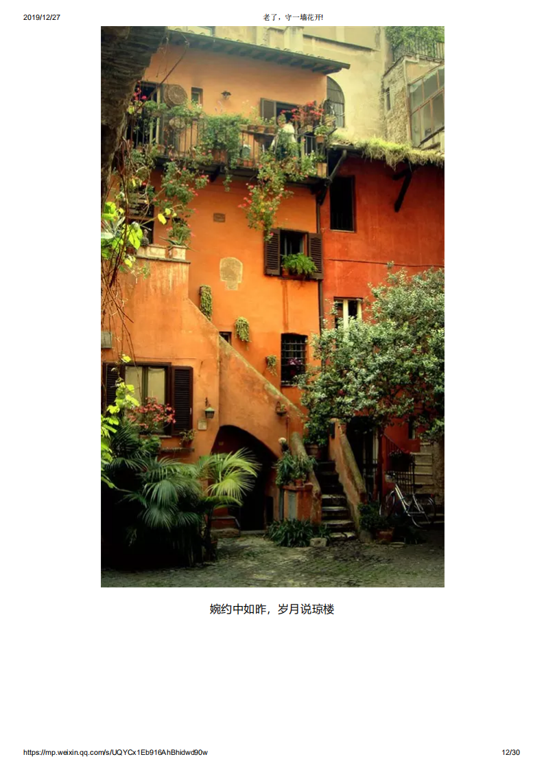 老了，守一墙花开!_11.png