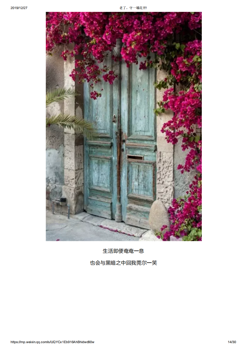 老了，守一墙花开!_13.png