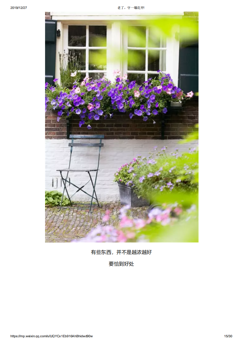 老了，守一墙花开!_14.png