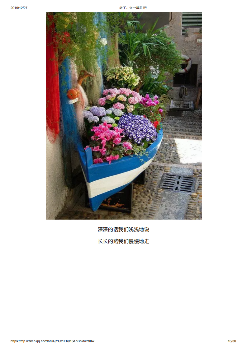 老了，守一墙花开!_15.png