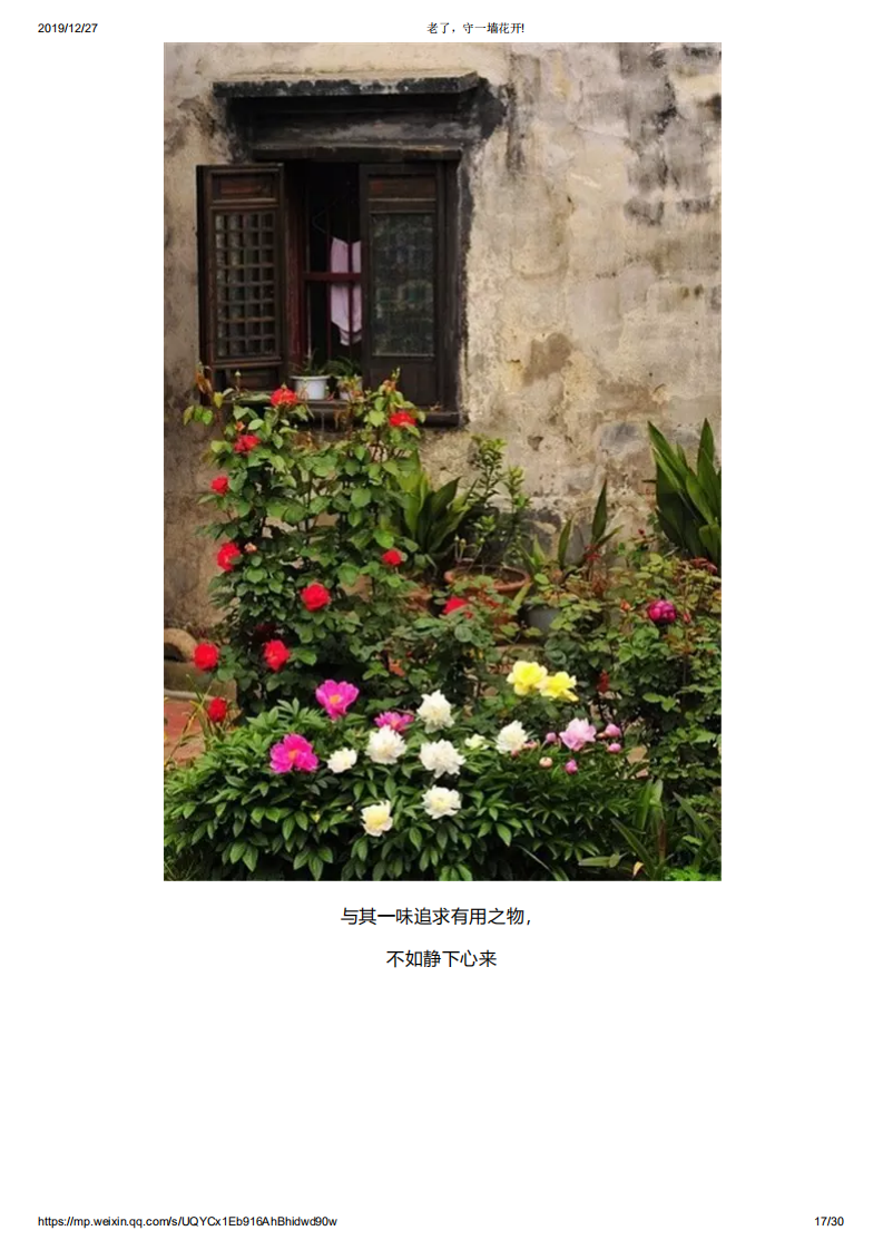老了，守一墙花开!_16.png