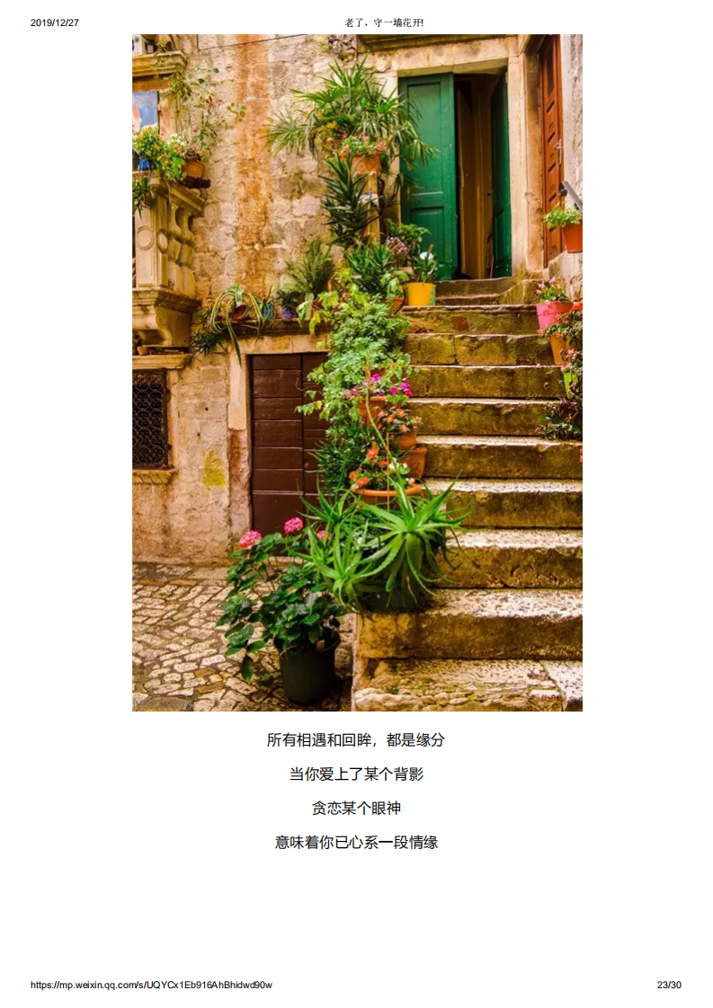 老了，守一墙花开!_22.png