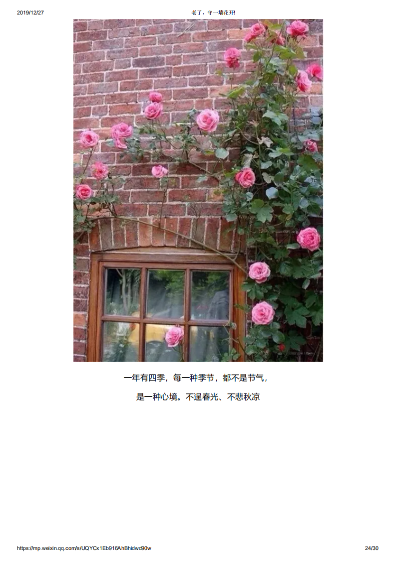 老了，守一墙花开!_23.png