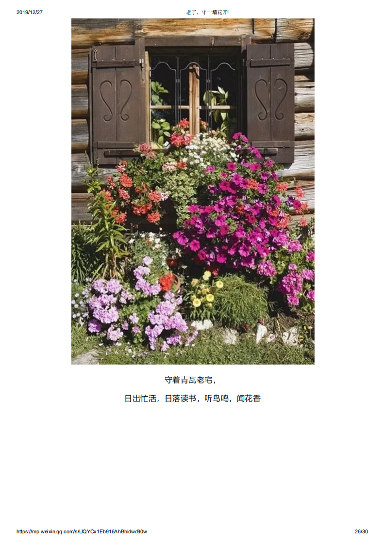 老了，守一墙花开!_25.png