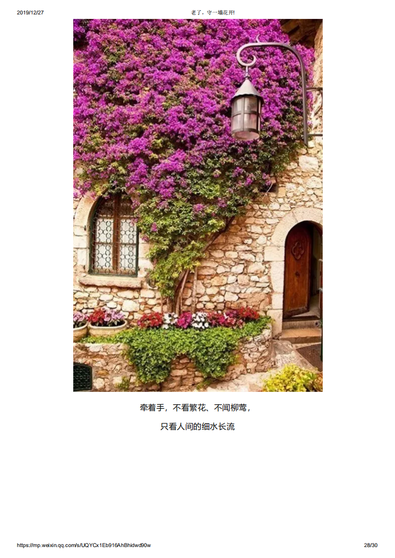老了，守一墙花开!_27.png